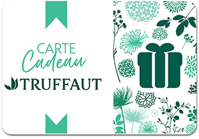 Truffaut eGift Card