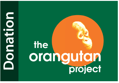 The Orangutan Project